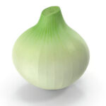 cebolla